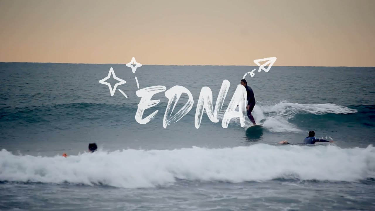 ヤマキ　EDNA SURFBOARD エドナサーフボード 9'4 ヤマキ EDNA SURFBOARD エドナサーフボード 9'4 2025年最新
