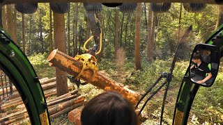 [4K Cab View] JOHN DEERE 1910G in der starken Douglasiendurchforstung
