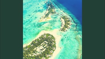 Pulsating Relaxing Beach Holidays