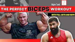Perfect Biceps Workout Full Sets And Reps Biglee Tamil