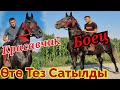 Боец⚡️Красавчик Тез💥Сатылды/чалмай жок