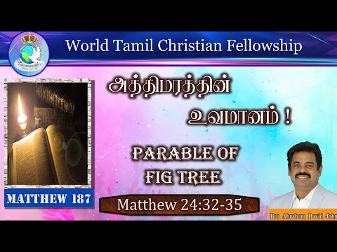 Parable of Fig Tree