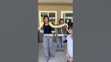 Crazy 😝 #shortsvideo #viral #fypシ #snakevideo #snakes
