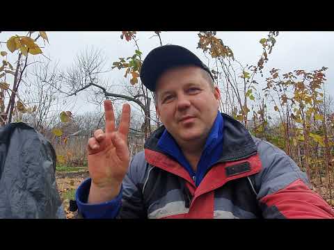 Фундук от А