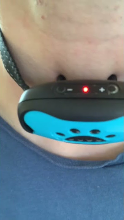 Shockingly good pet product! ⚡🐶 #dog #pets #collar #amazon #amazonfinds #shock #fyp