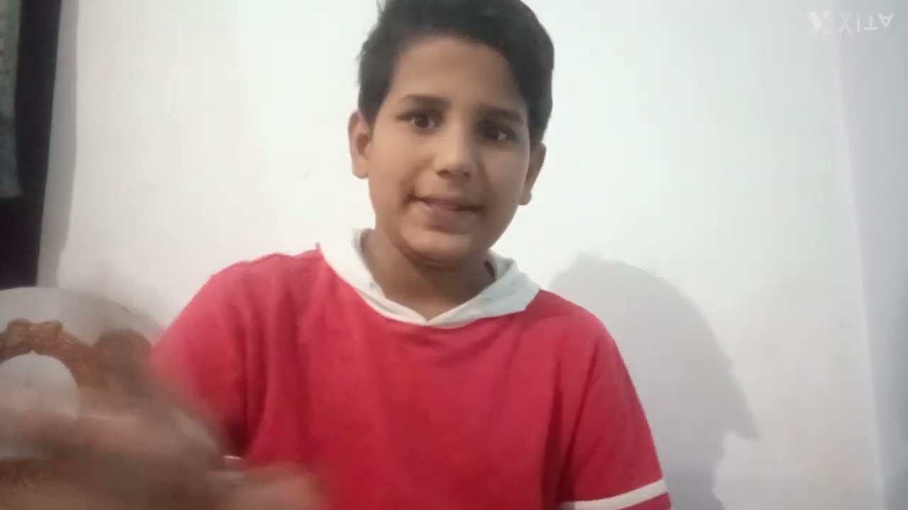 collision Government and the role of citizens in democracy 