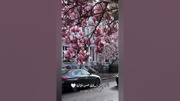 اجر.القارئ عمير شميم.قران.