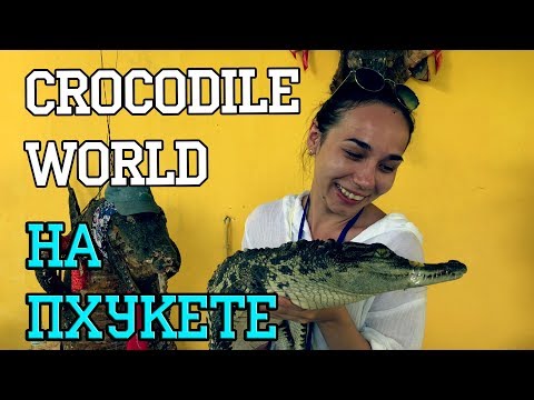 Шоу крокодилов/Пхукет/Таиланд