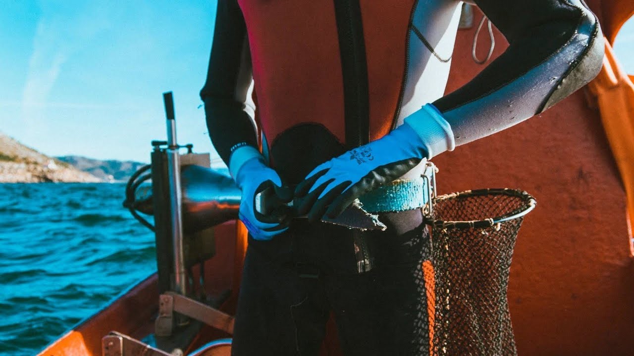 Dorna - Corto documental