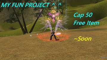 RF Online - My Fun Project