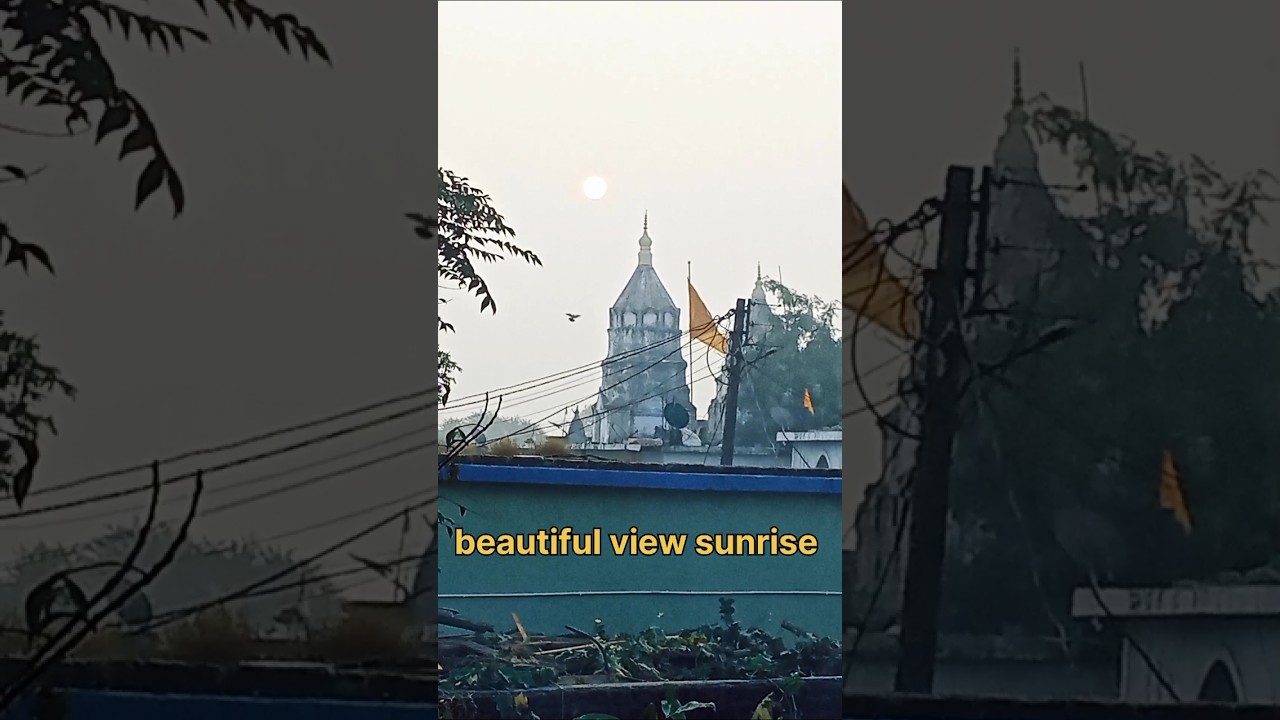 Beautiful view of sunrise 🌄ll Home gardening ll 