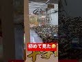【ゲーセン】こんなん初めて見た👀さっそくしてみた!笑【game】 #shorts