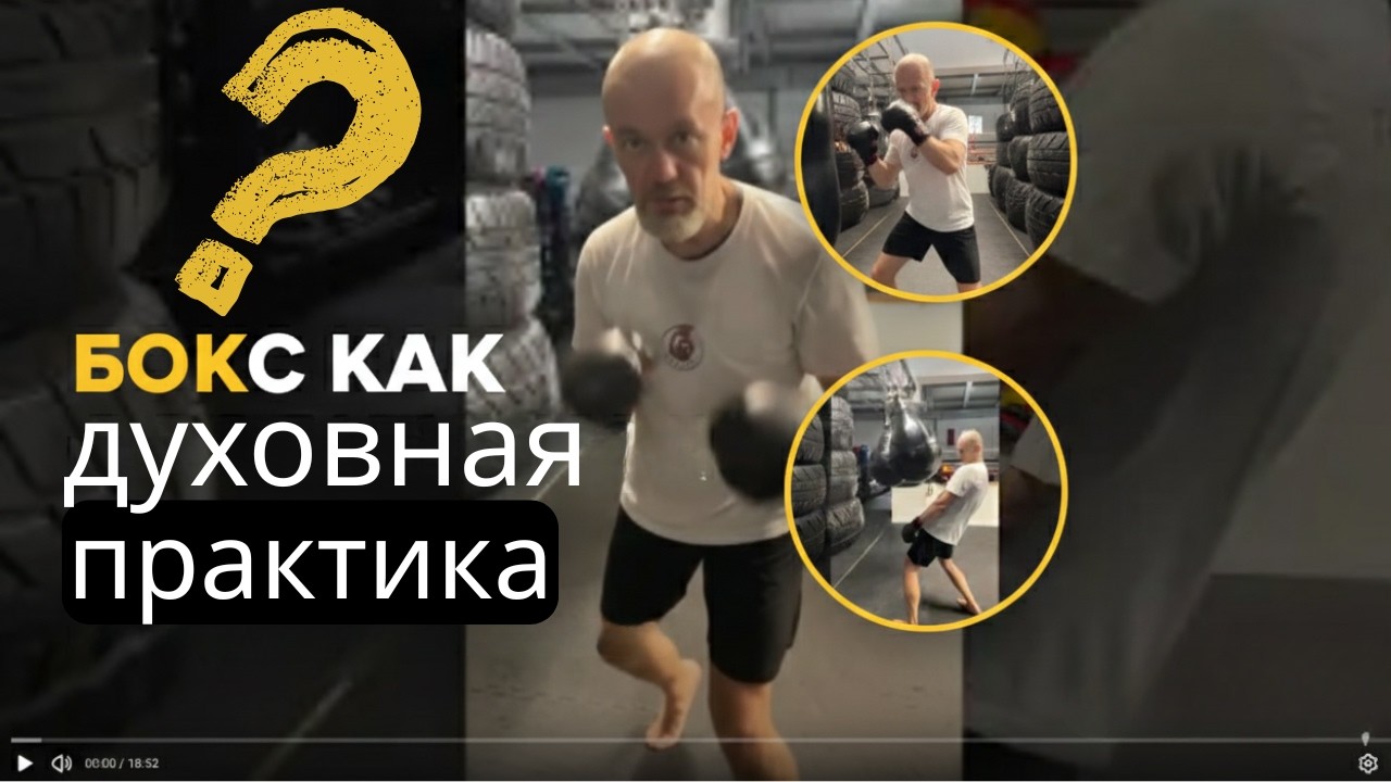 Сенсей Макс: Исследование удара. От физики к духовному труду