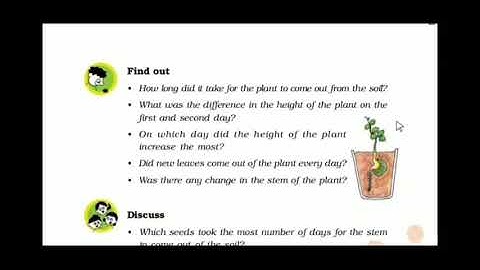 SEEDS AND SEEDS (PART 2) | LOOKING AROUND | CLASS 5