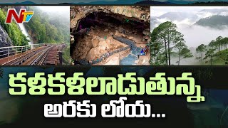 కళకళలాడుతున్న అరకు లోయలు | Tourist Places Open After Lockdown in Andhra Pradesh | NTV