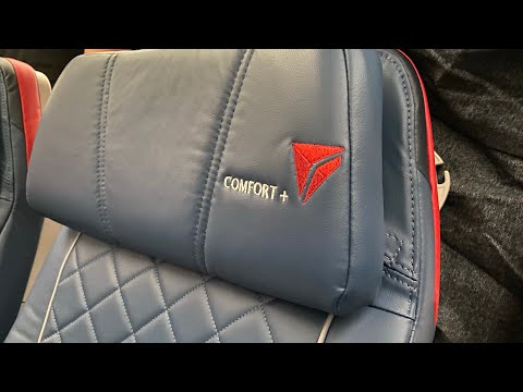 Delta Airlines Economy