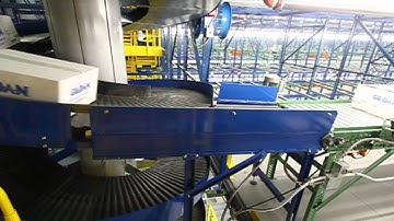 Ryson Multiple Infeed Spiral Conveyor