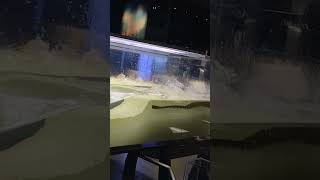 Tsunami wave in 30 feet tank #tsunami #fluiddynamics
