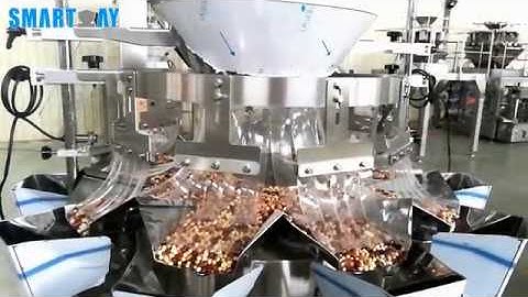 Smart Weigh - 10 Head Multihead Weigher Combined Packing Machine