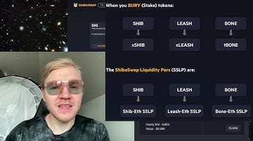 no fud: Shibaswap Basics; Practicality and Liquidity and Bone