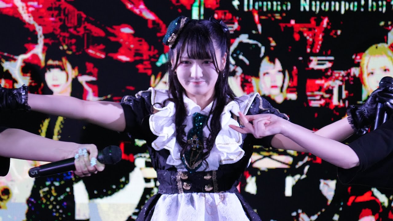 N.P.C (Cover) / Cyber Nyanpass @ Sumomo Yotsuki Birthday Festival