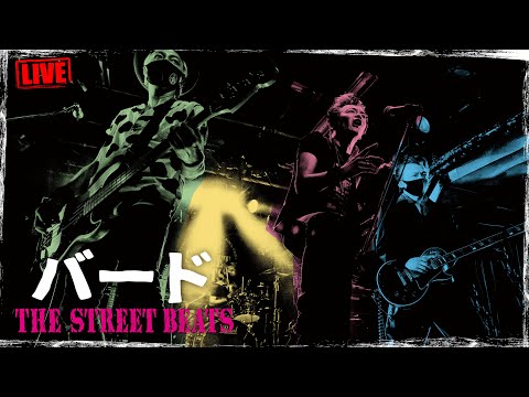 THE STREET BEATS / バード [LIVE] - YouTube