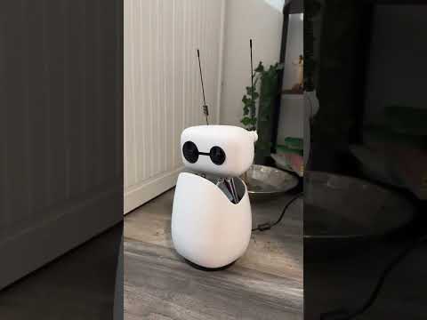 Saying "Hi" to Reachy Mini! 👋🤖