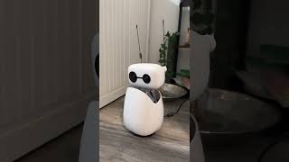 Saying "Hi" to Reachy Mini! 👋🤖