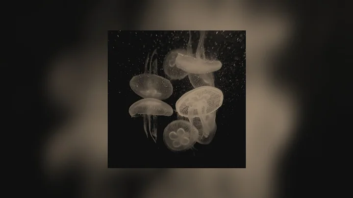 Megan Thee Stallion & RM — Neva play ✦ [Slowed + reverb + bass boosted]