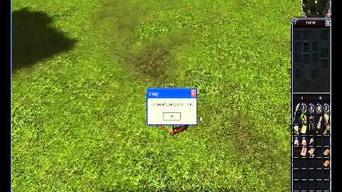 Metin2 Switchbot v3,1.wmv