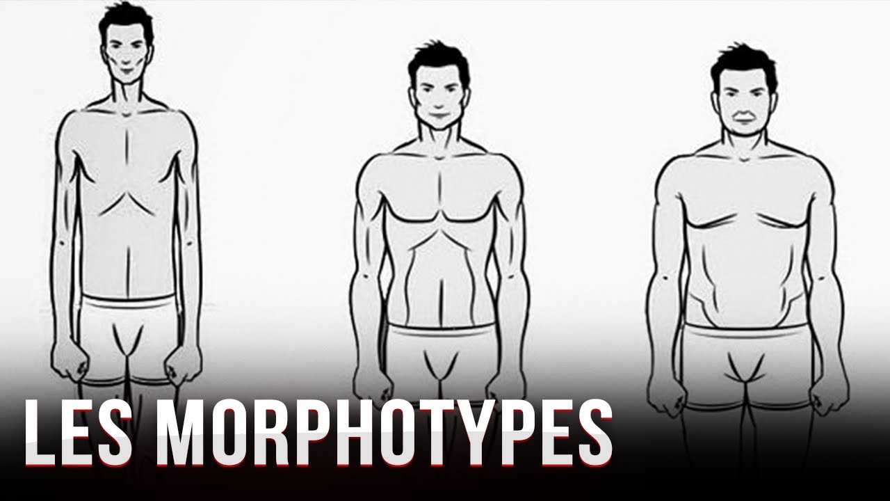 Les Différents Morphotypes et La Chrononutrition