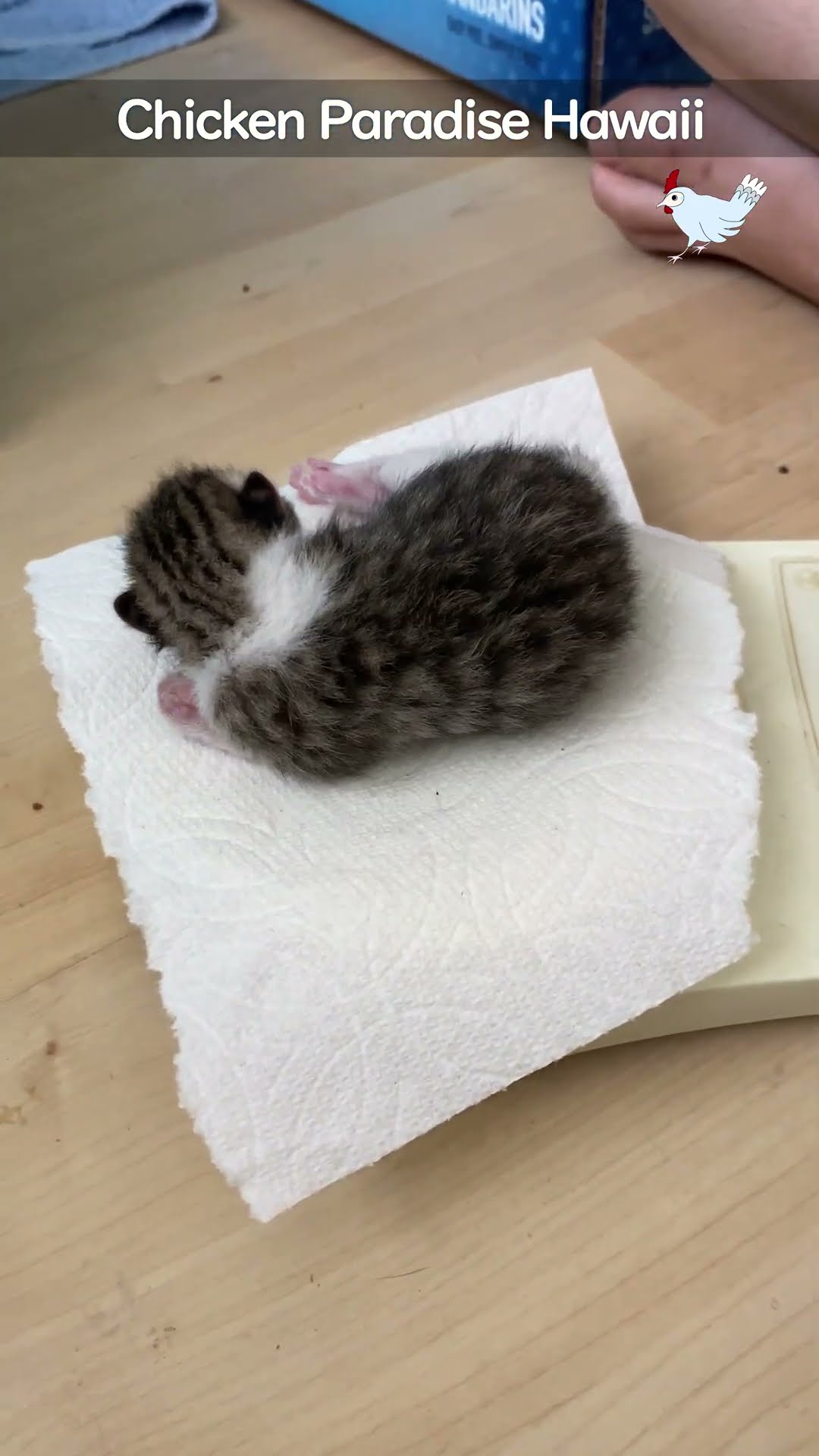 Only 118 grams