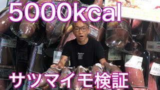 【爆食い】糖質制限中の俺がチートデイでサツマイモ食べまくり‼️5000kcal食べられるのか⁉️