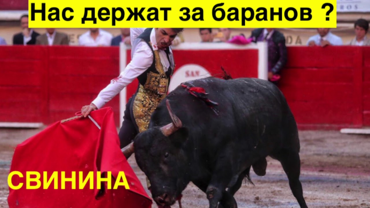 Отныне суд будет решать есть свинина в Халяль или нет. Динар Садыков ...