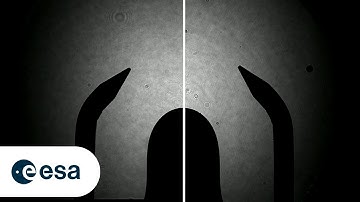 Condensation defying gravity