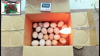 How to make EGG INCUBATOR at home without Temperature controller | Incubator for chicken eggs