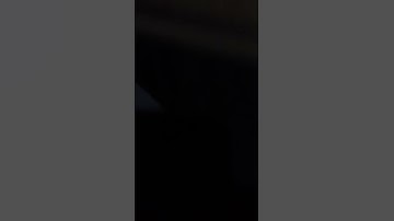 Wtf is wrong with people these days?