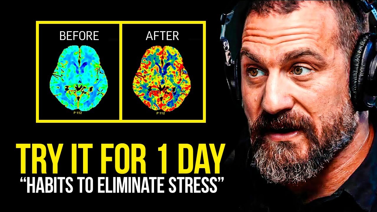 NEUROSCIENTIST You Will NEVER Be Stressed Again  Andrew Huberman