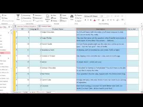 MS Access 2016 Lesson 6 Customizing Tables