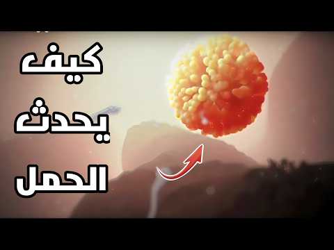 كيف يحدث الحمل خطوة بخطوة 3 رحلة تخصيب البويضة في الرحم دروس طبية