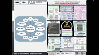 Teaser P17: DisCosTiC: A DSL-based Parallel Simulation Framework using First-Principles Analytic...