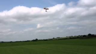 QQ Pitts python ZDZ80 rvj