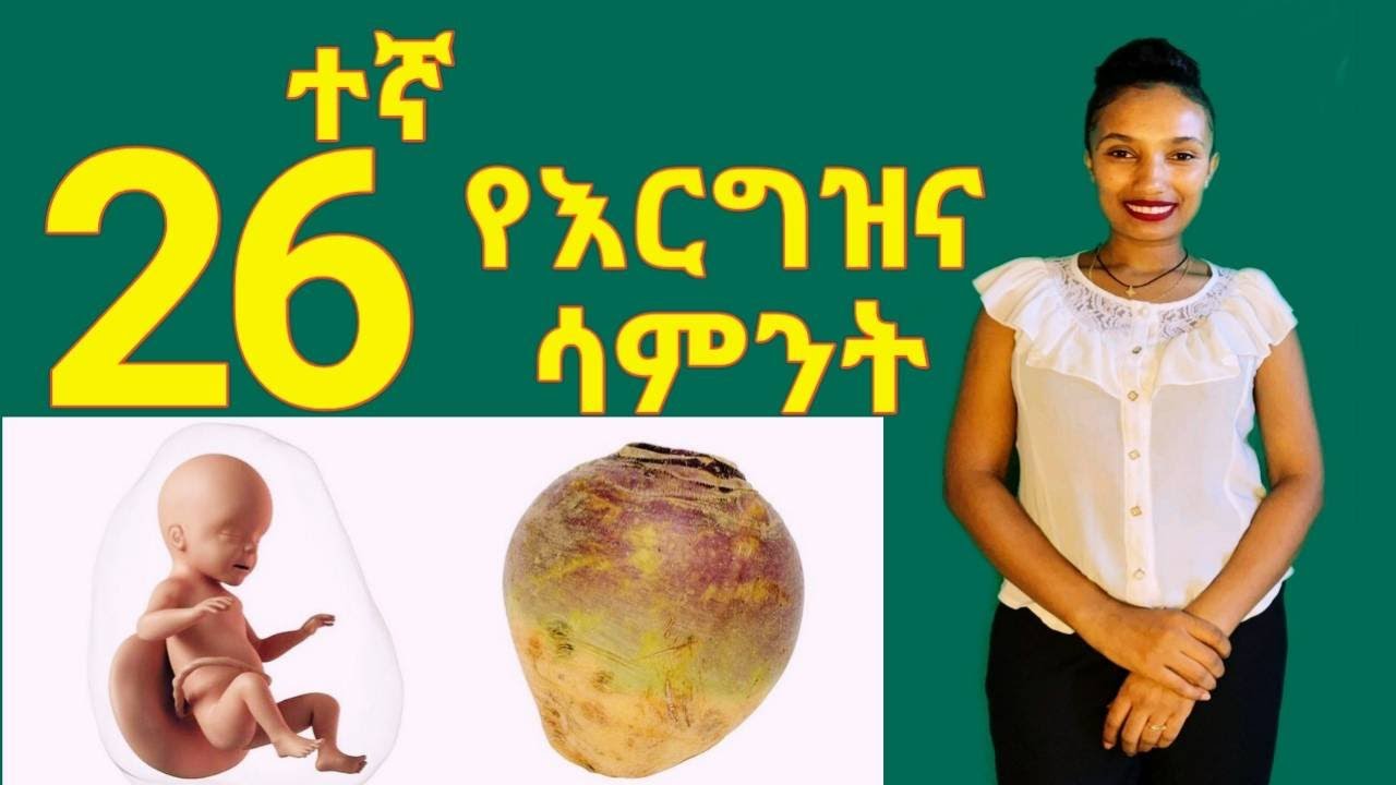 የእርግዝና ሃያ ስድስተኛ ሳምንት // 26 weeks of pregnancy ;What to Expect