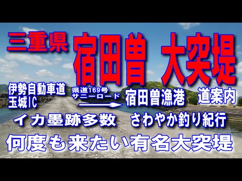 #65三重県宿田曽漁港大突堤さわやか釣り紀行サニーロード深緑の木洩れ日の森を整備された素敵な道口笛を吹きながら走ってみて下さい何度も来たい有名大突堤イカ墨跡多数アオサ海苔きれいな海の磯にヒジキです