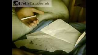 Self rolling cigarette screenshot 5