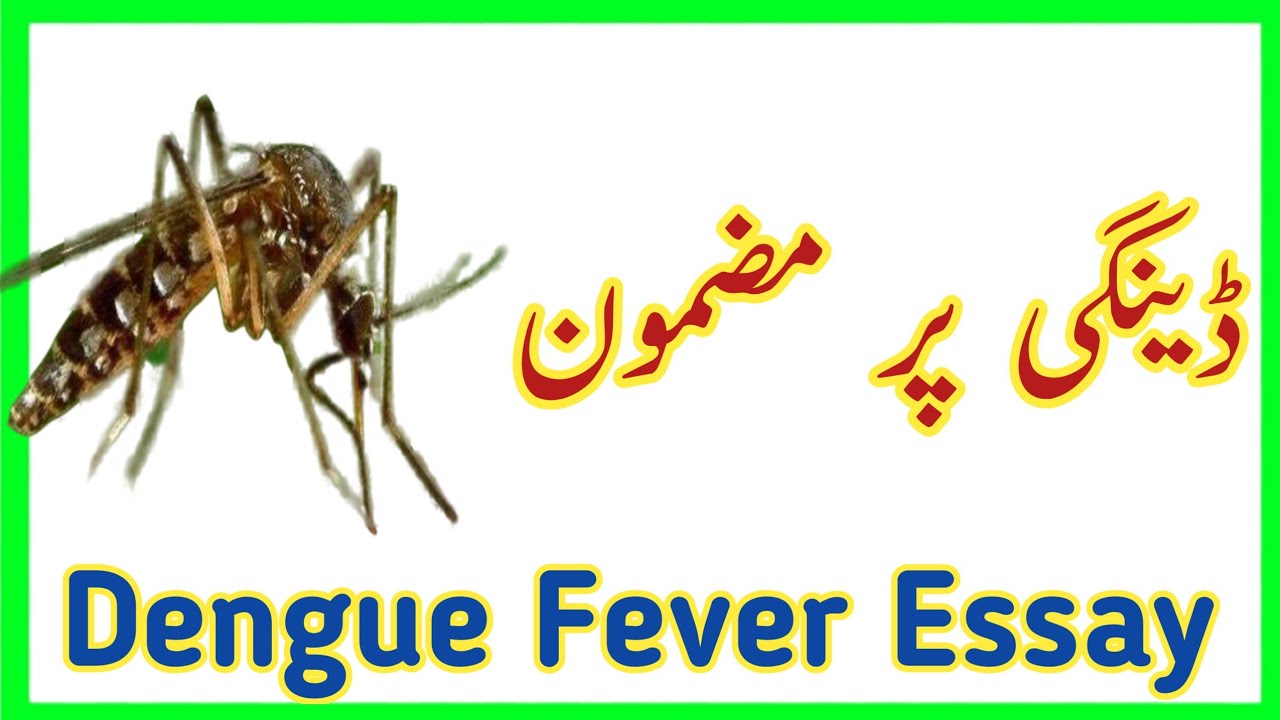 anti dengue essay in urdu