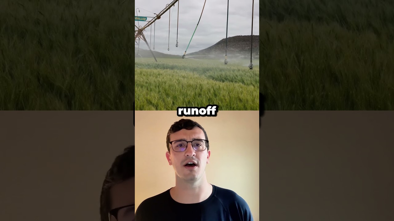 Is Hydroponics More Efficient Than Traditional Soil Gardening? 