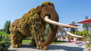 VIDEO: Making plant sculptures at the Atlanta Botanical Garden