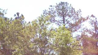 SC Hwy 31 Fire