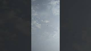 Airplane fly with birds shorts bird hit airplanes viral rc plane